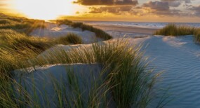 https://www.deltaplanalvleesklierkanker.nl/content/uploads/sites/2/2023/07/Foto-Ameland-285x154.jpg