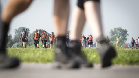 https://www.deltaplanalvleesklierkanker.nl/wp-content/uploads/sites/2/2024/05/banner-nijmeegse-vierdaagse-deltaplan.png